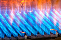 Cockington gas fired boilers